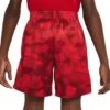 Nike Boys Dri Fit Printed Short